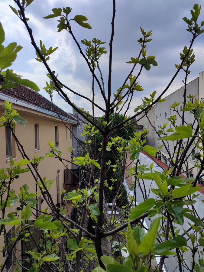 Centar Novi Sad-Apartman No 3 Buitenkant foto