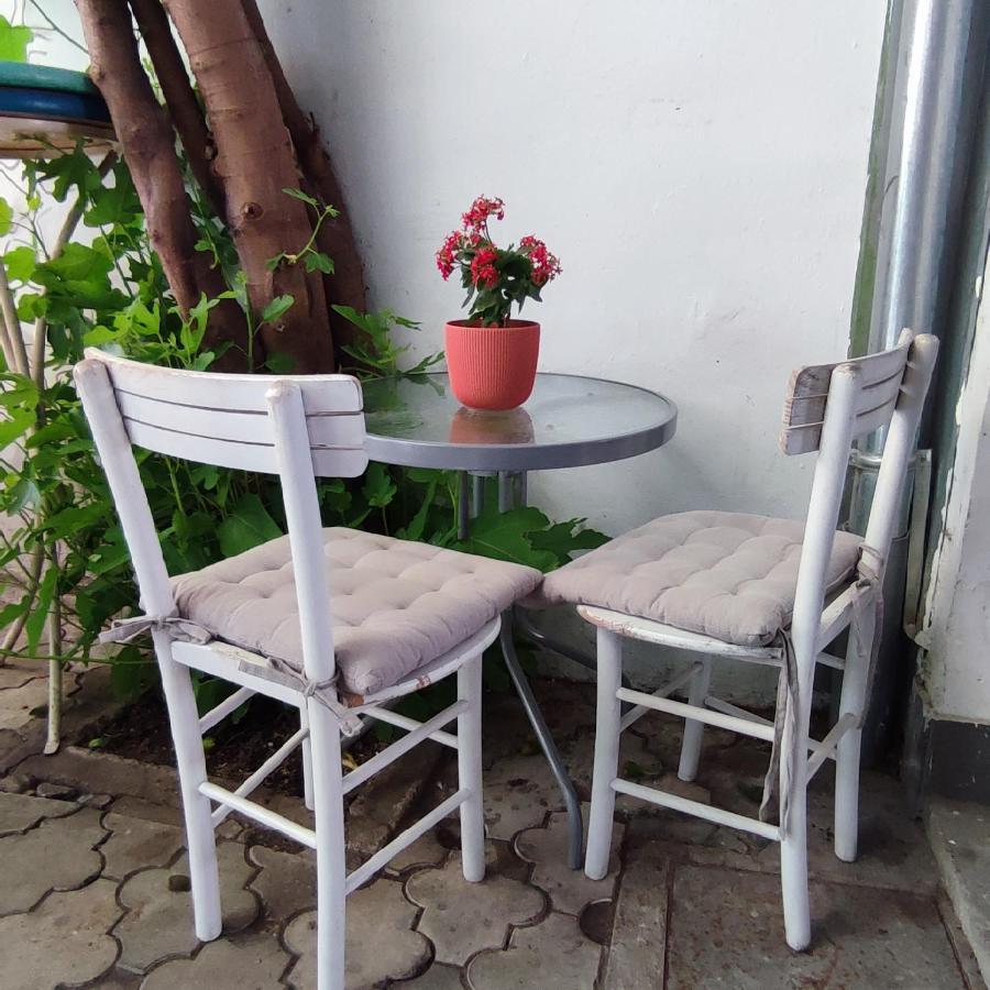 Centar Novi Sad-Apartman No 3 Buitenkant foto