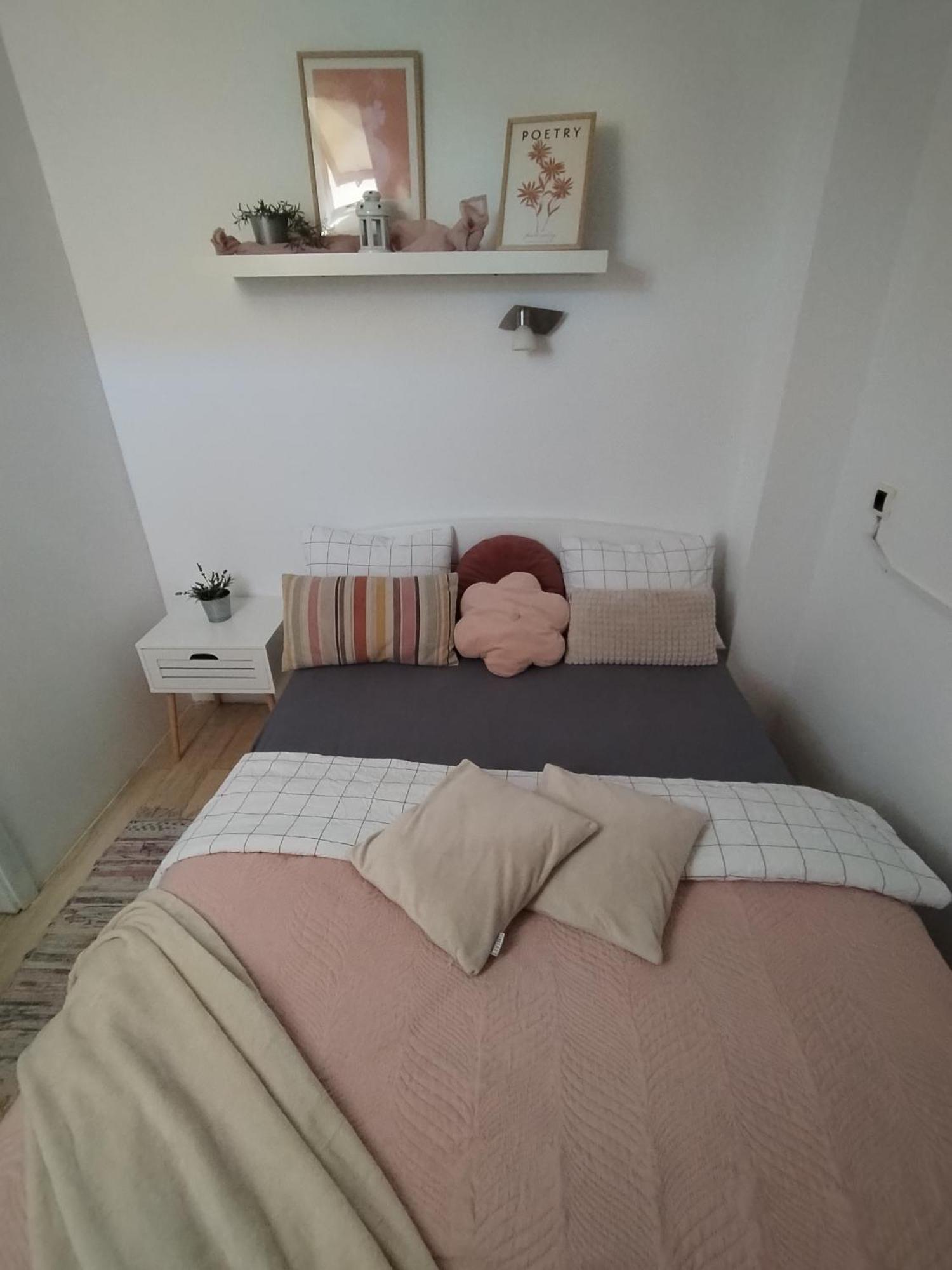 Centar Novi Sad-Apartman No 3 Buitenkant foto