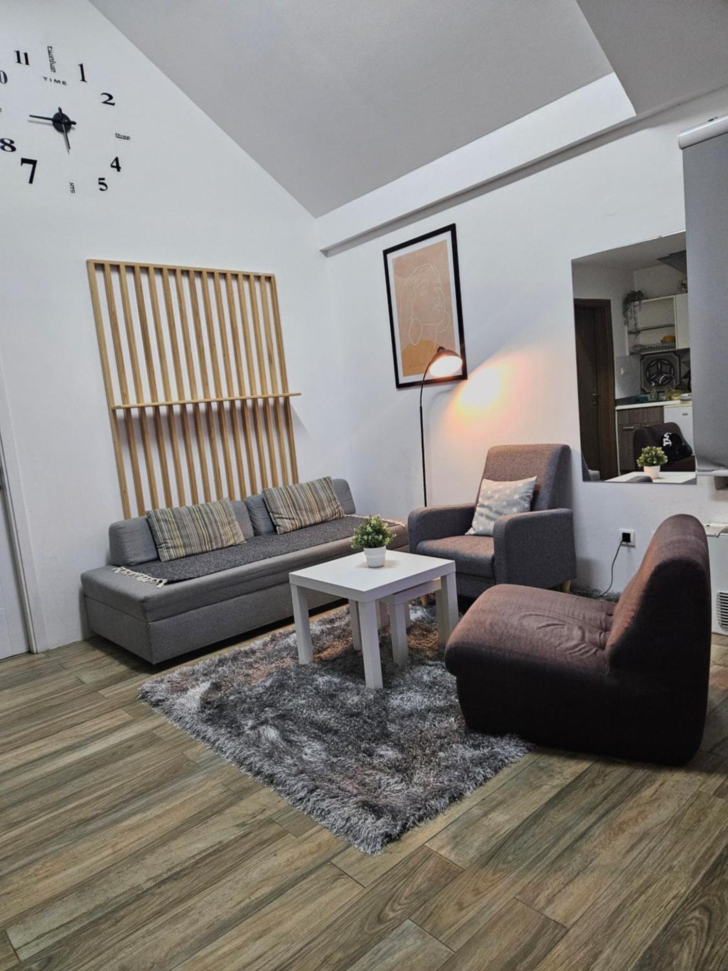 Centar Novi Sad-Apartman No 3 Buitenkant foto